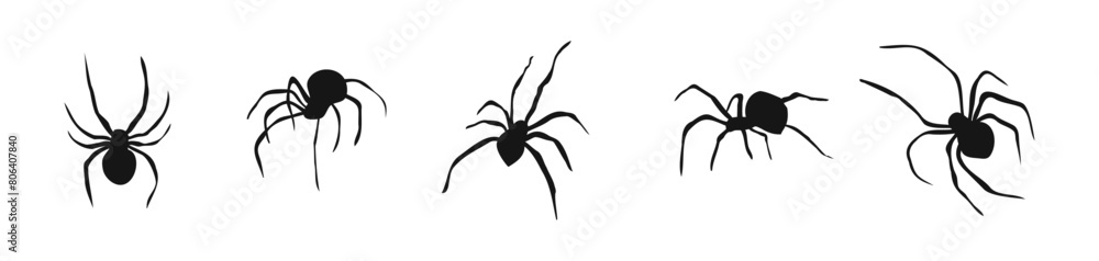Spider flat silhouette set. Spiders vector collection. Spider flat silhouette set. Spiders vector collection.