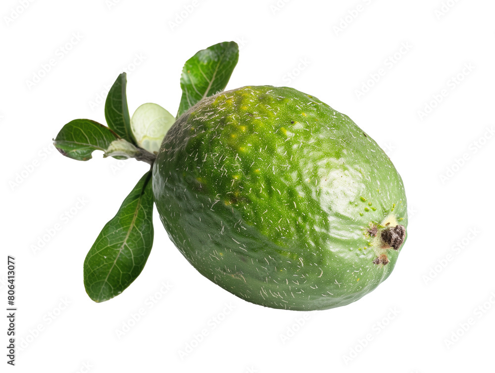 A Single Feijoa with a Transparent Background PNG A Single Feijoa with a Transparent Background PNG