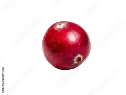 A Single Cranberry with a Transparent Background PNG