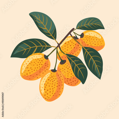 A drawing of a bunch of loguat on a green background. The loguat are small and are clustered together on the stem. The drawing has a bright and cheerful mood