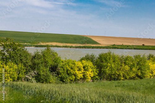 Countryside landscape in Srem region with the Vranjas lake, province of Vojvodina in north Serbia photo
