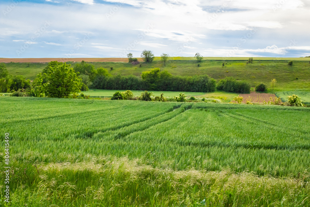 Countryside landscape in Srem region, province of Vojvodina in north Serbia