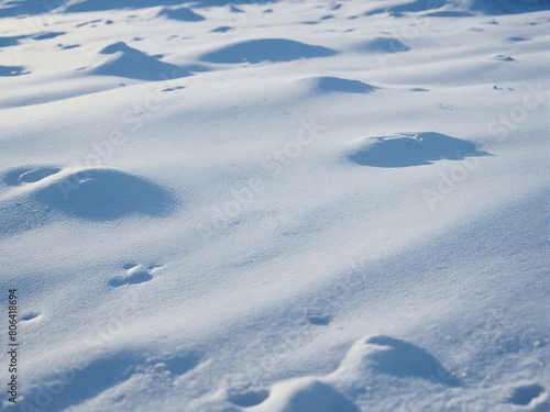 tracks in snow