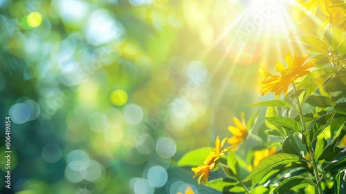 Sunlight piercing through green foliage with vibrant yellow flowers