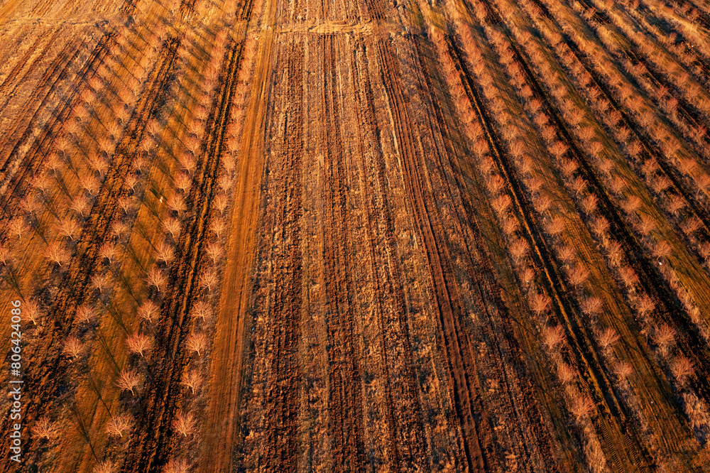 Fototapeta premium Aerial View of Plowed Field in Georgia