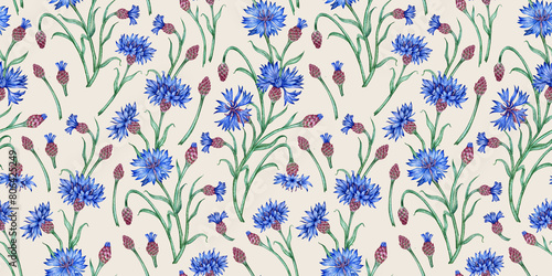 Wallpaper Mural Cornflowers blue flowers pattern on gray background watercolor illustration. Botanical composition element isolated from background. Suitable for cosmetics, aromatherapy, medicine, treatment, care, Torontodigital.ca