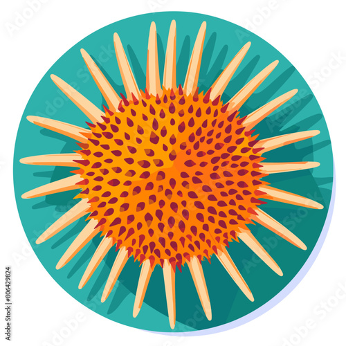 A yellow sea urchin