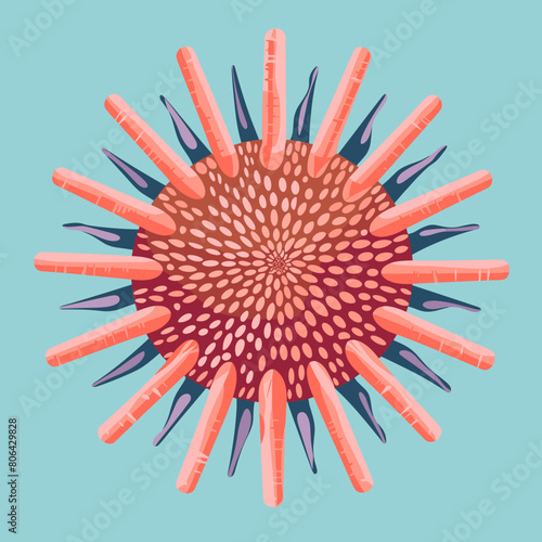 A yellow sea urchin