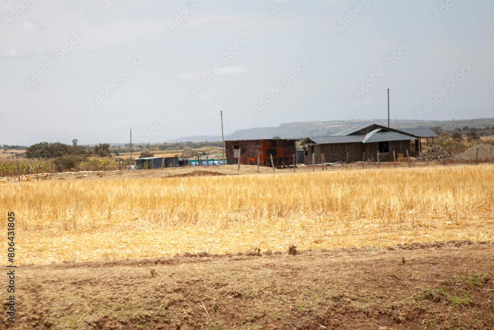 Fototapeta premium Highway Scene in Kenya 