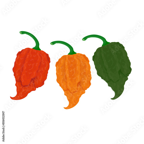 Vector Illustration logo Carolina Reaper in various colors