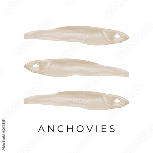 Vector Illustration logo Simple line art Dried anchovies 