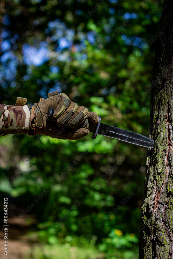 A military knife and a hand in tactical gloves holding it. Military affairs, tactical equipment. A military knife and a hand in tactical gloves holding it. Military affairs, tactical equipment.