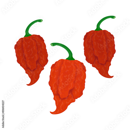 Vector Illustration logo fresh red carolina reaper