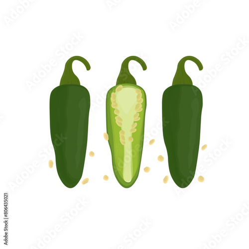Vector Illustration logo Green jalapeno peppers