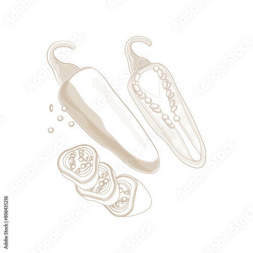 Vector Illustration logo Simple line art green jalapeno peppers