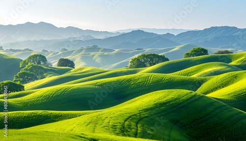 Rolling hills carpeted in vibrant green, stretching to meet a clear azure sky photo
