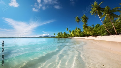Beautiful panoramic view of Seychelles beach with palm trees