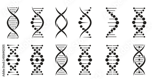 DNA molecule set