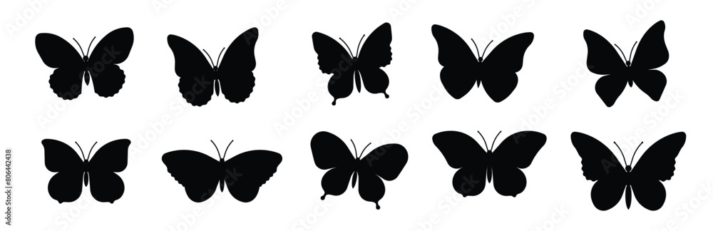 Set of butterflies Set of butterflies