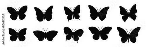 Set of butterflies