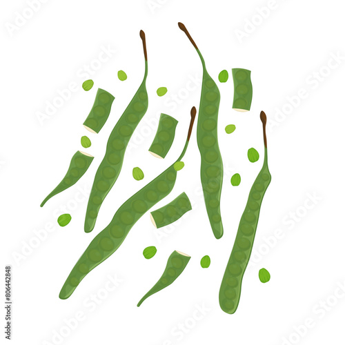 Levitation bitter bean petai pete or stink bean vector illustration logo photo