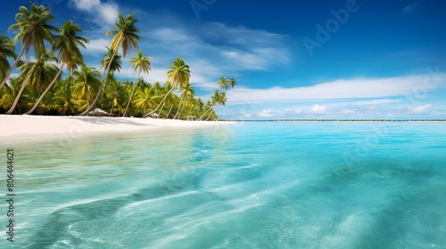 Tropical beach panorama with palm trees and turquoise water