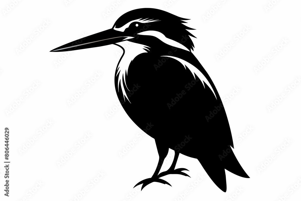 Fototapeta premium kingfisher silhouette on white background, Vector illustration, icon, svg, characters, Holiday t shirt, Hand drawn trendy Vector illustration, eagle silhouette