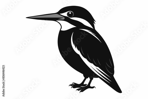 kingfisher silhouette on white background, Vector illustration, icon, svg, characters, Holiday t shirt, Hand drawn trendy Vector illustration, eagle silhouette © SK kobita