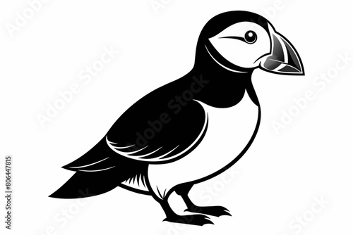 puffin silhouette on white background, Vector illustration, icon, svg, characters, Holiday t shirt, Hand drawn trendy Vector illustration, eagle silhouette