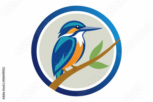 kingfisher Vector illustration, silhouette on white background, icon, svg, characters, Holiday t shirt, Hand drawn trendy Vector illustration, blue bird on a branch