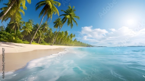 Tropical beach with palm trees and blue sky. Panorama © Michelle