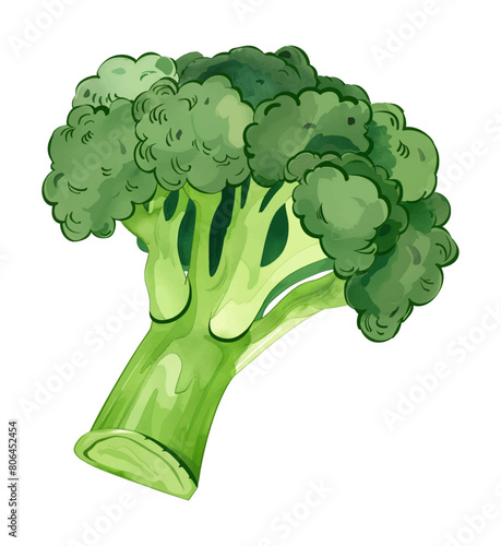 broccoli watercolor digital painting good quality