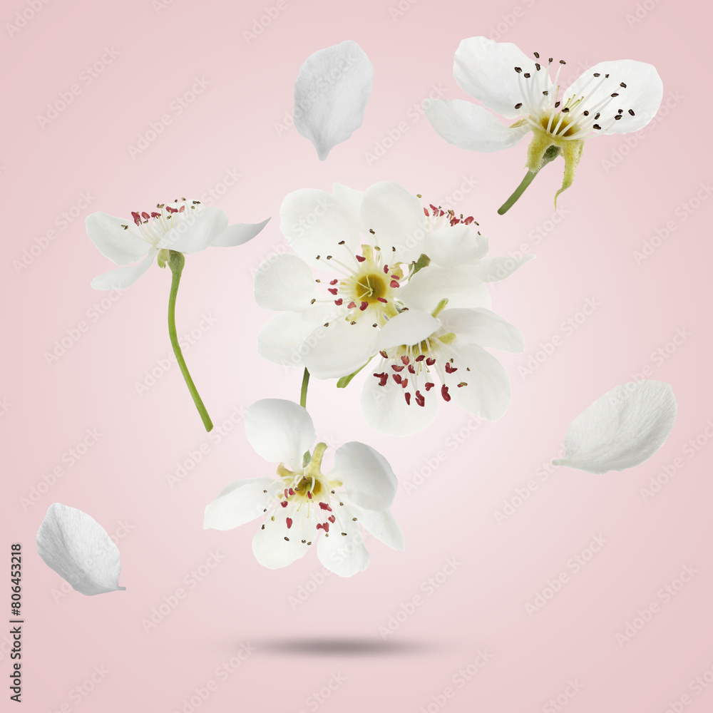 Spring blossoms. Beautiful flowers flying on pink beige background