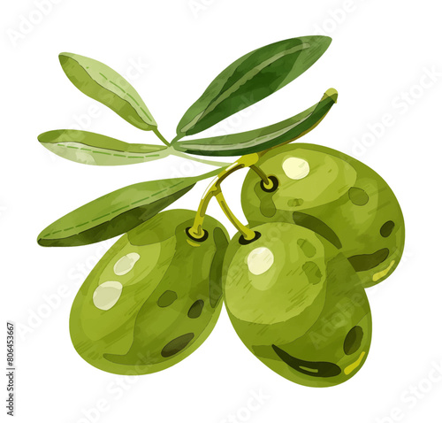 olive fruit watercolor digital painting good quality
