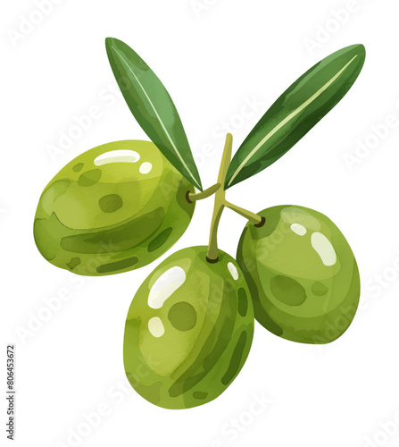 olive fruit watercolor digital painting good quality