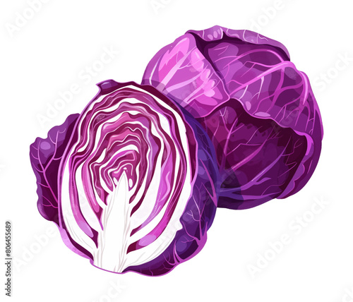 purple cabbage watercolor digital painting good quality