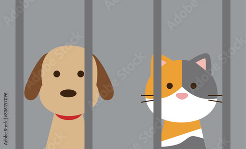 犬猫と保健所のイメージイラスト