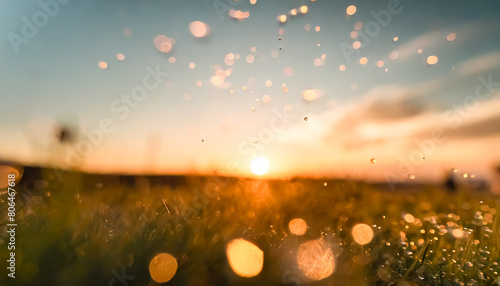 Meadow at sunset, grass, clouds, sky, water, water droplets, reflection, dawn, beautiful, view
