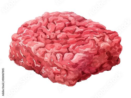minced meat watercolor digital painting good quality