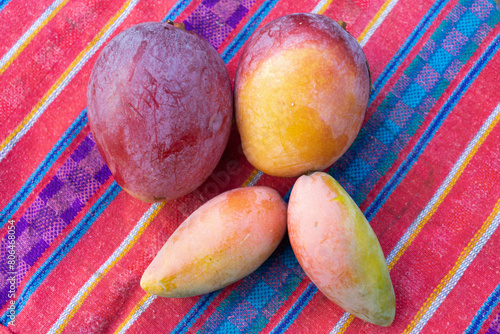 Fresh mango fruit