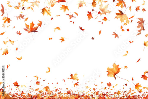 falling autumn golden red and orange colored leaves