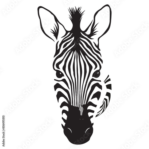 Zebra animal illustration, nature conservation vector black and white stripes Vector illustration