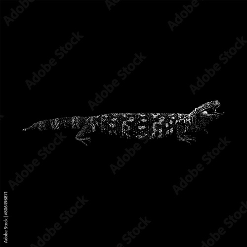 Gila Monster hand drawing vector isolated on black background. photo