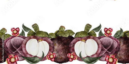 Mangosteen fruit watercolor illustration. Tropical fruit border hand drawing isolated on white background. Botanical clip composition art of asian food garcinia. Realistic mangostana frame for photo