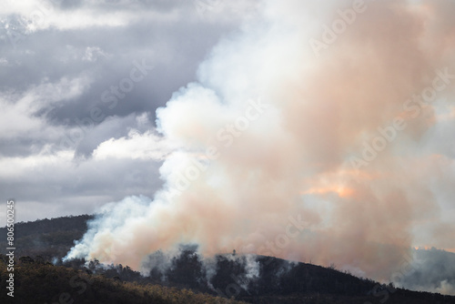 controlled burns creating thick smoke over the bush in Australia