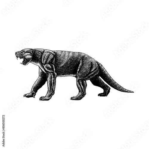 Thylacoleo hand drawing vector isolated on background.