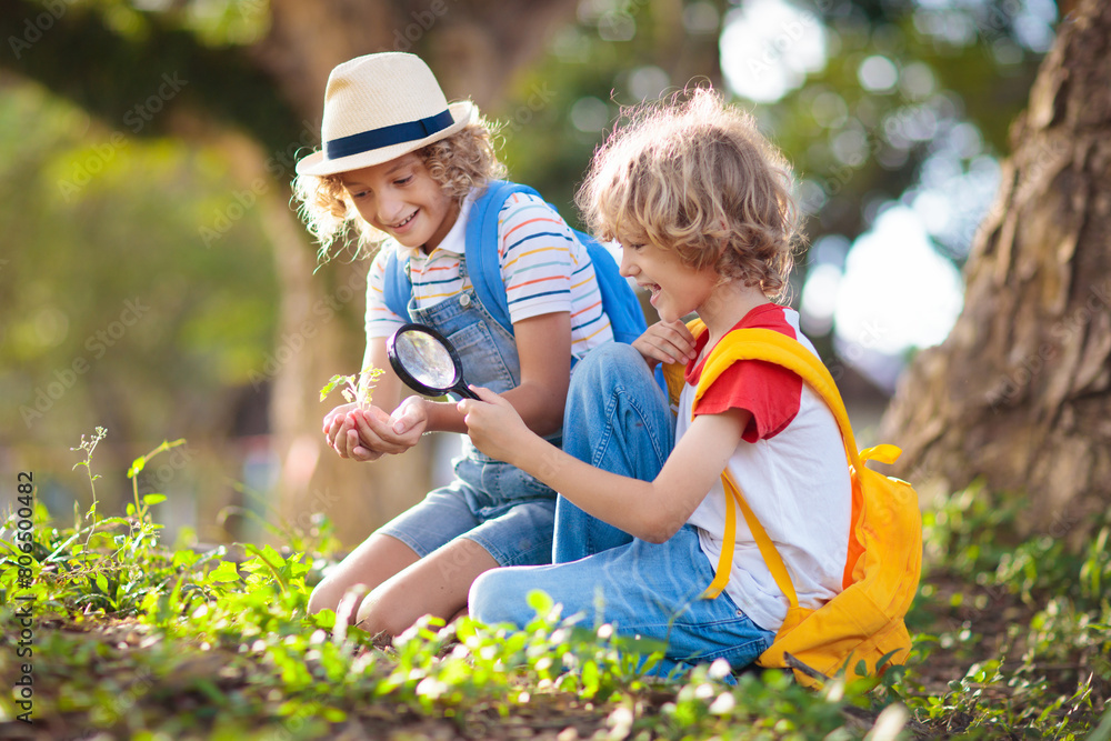 Fototapeta premium Kids explore nature. Children hike in sunny park.