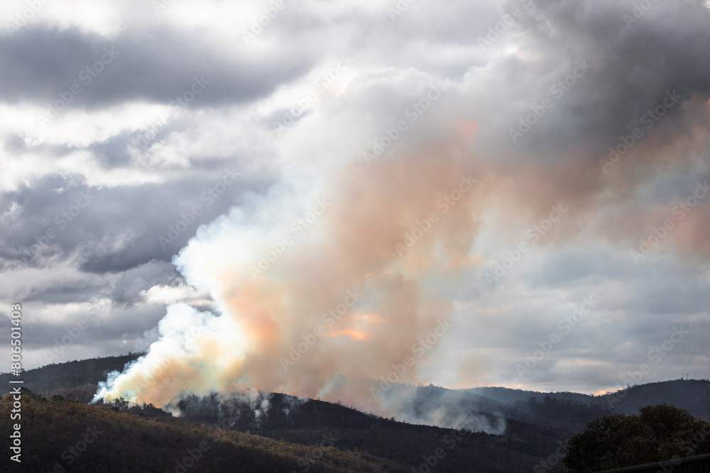 Fototapeta premium controlled burns creating thick smoke over the bush in Australia