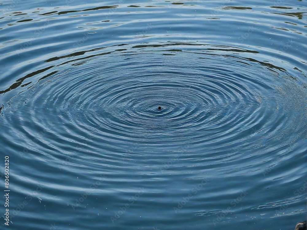ripples in water ripples in water