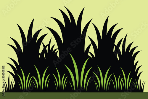 The silhouette of the grass set. Vector illustration design